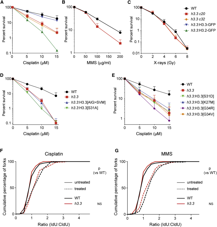 Figure 4