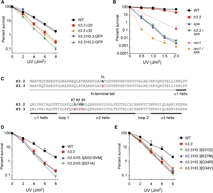 Figure 2