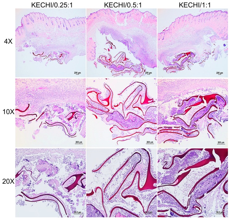 Figure 9