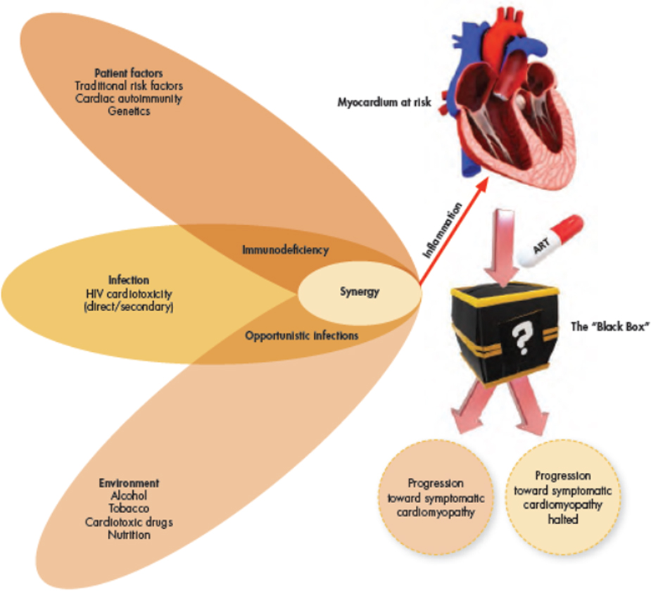 FIGURE 3: