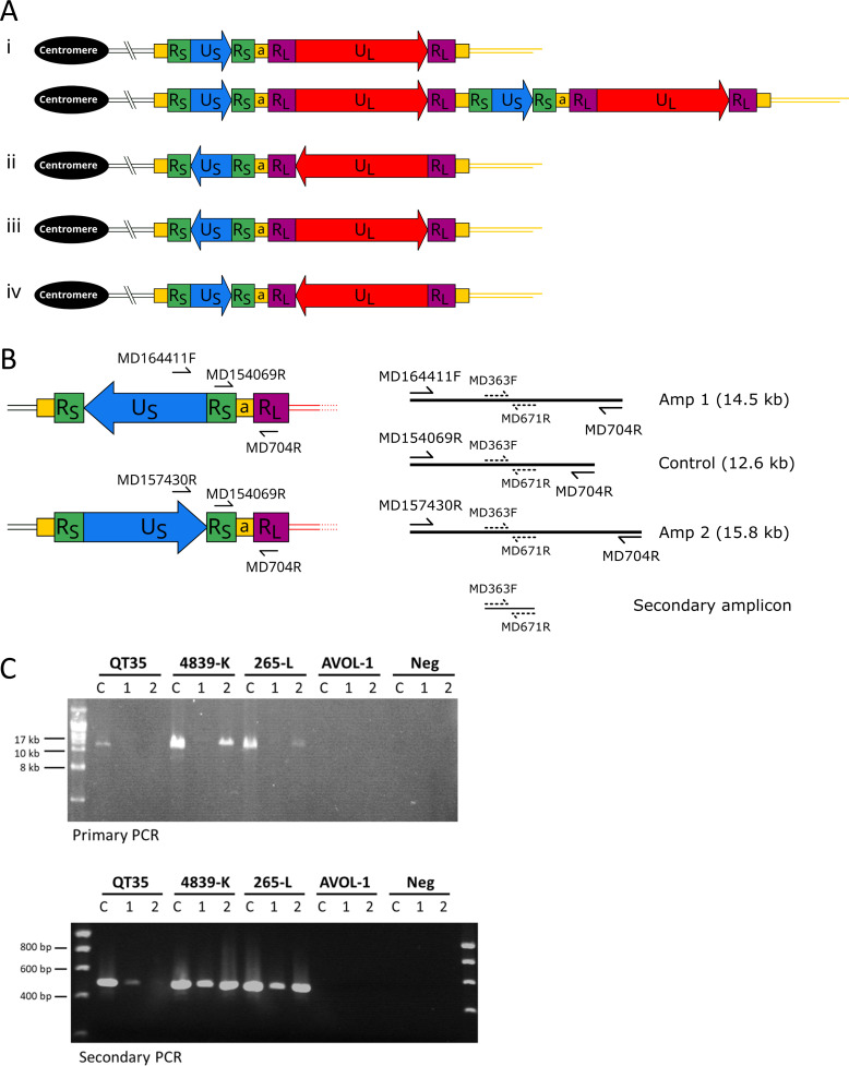 Fig 4