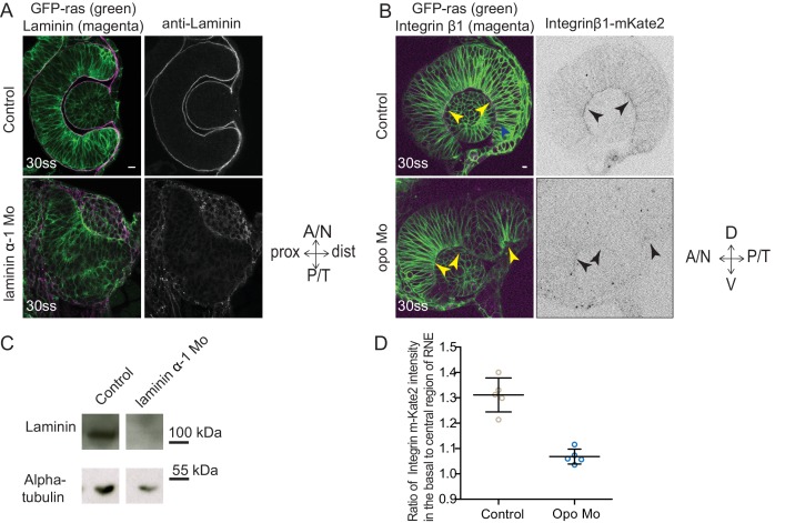 Figure 4—figure supplement 2.