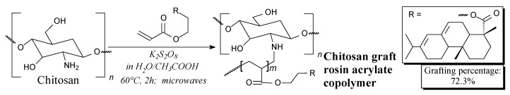 Scheme 77