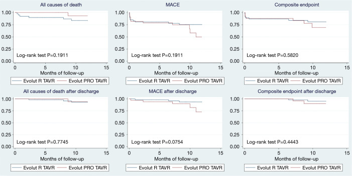 Transcatheter aortic valve replacement using the new Evolut-Pro system ...