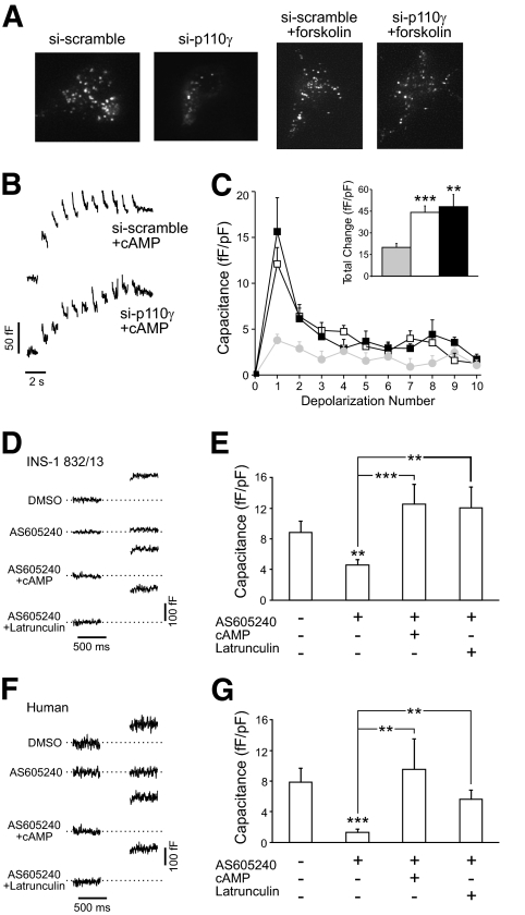 FIG. 8.