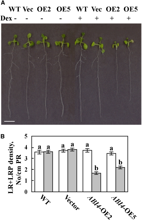 Figure 4.