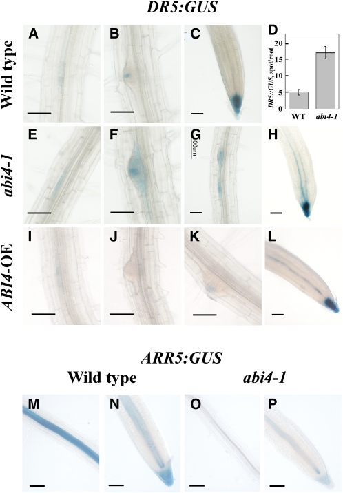 Figure 7.