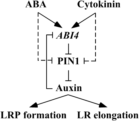 Figure 11.