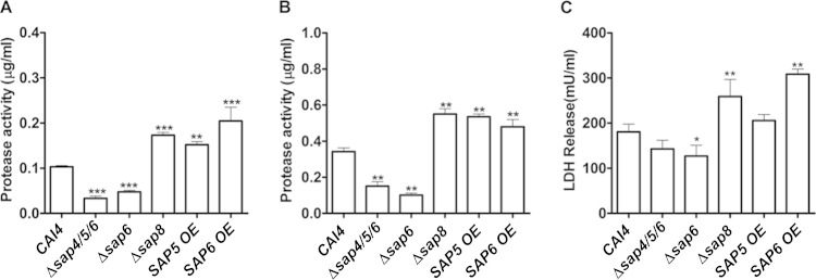 FIG 3