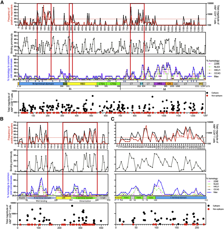 Figure 5