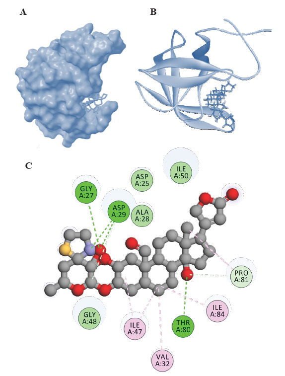 Fig. 1.