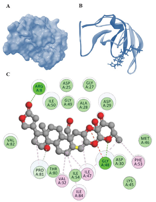 Fig. 2.