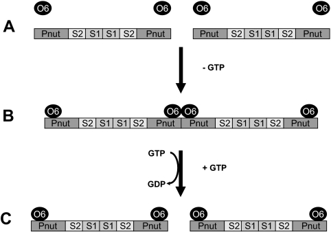 Figure 7.