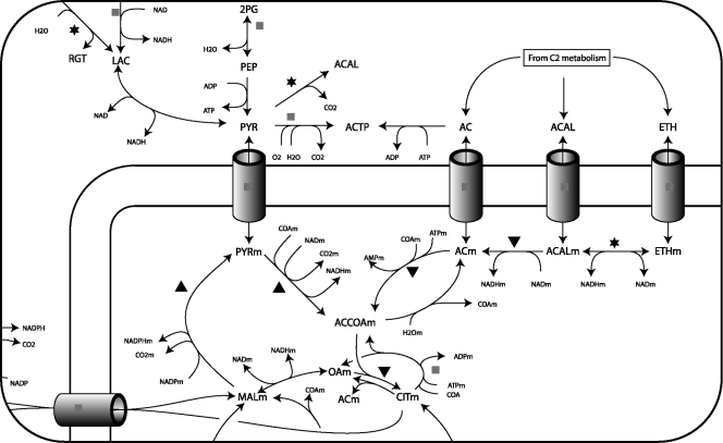 FIG. 3.