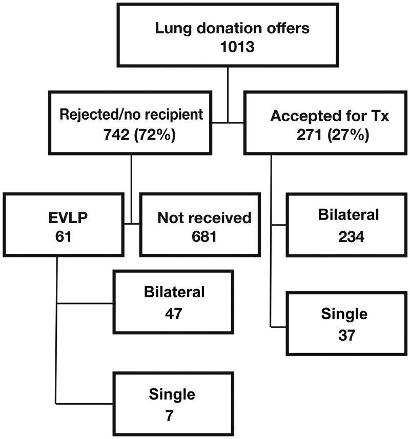 Figure 1: