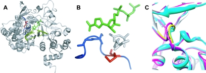 FIG. 1.