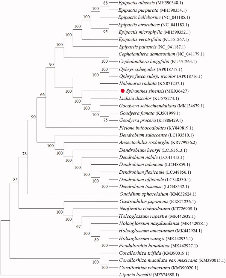 Figure 1.