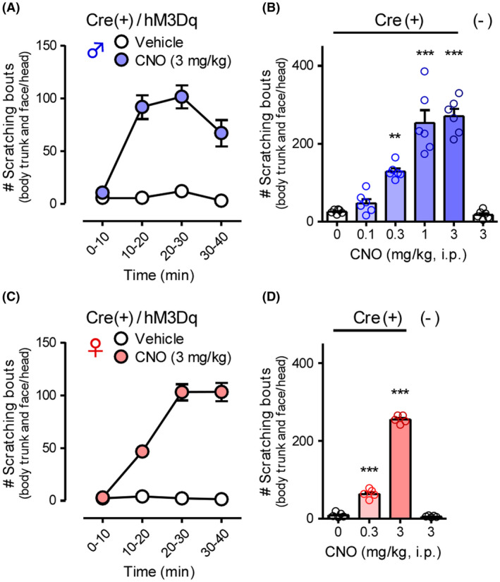 FIGURE 2