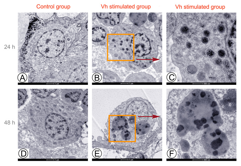 Fig. 1