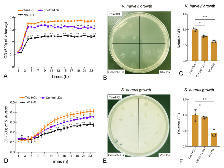 Fig. 3