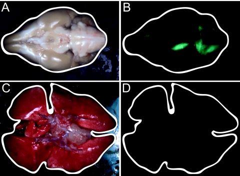 FIG. 4.