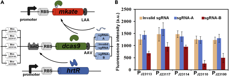 Figure 5