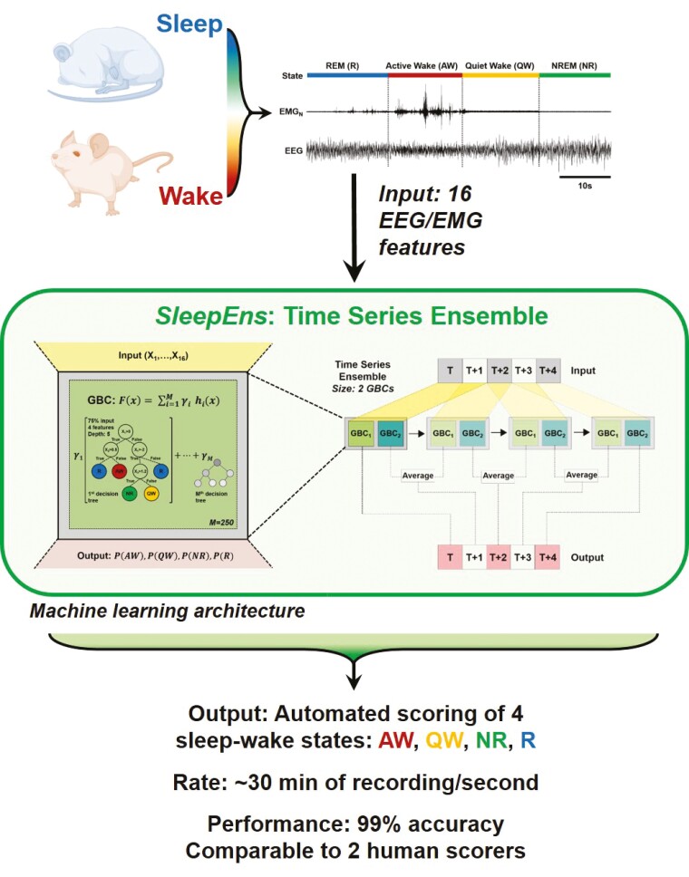 Graphical Abstract