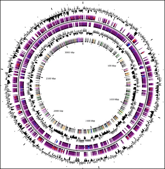 Fig. 3