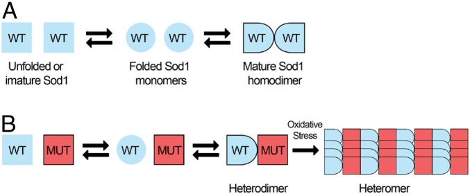 Fig. 9.