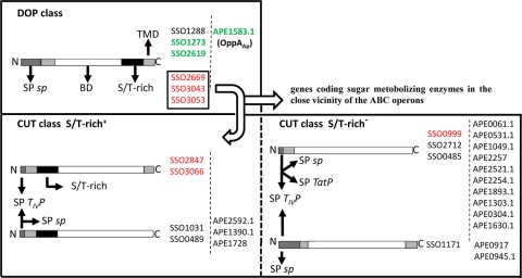 FIG. 6.