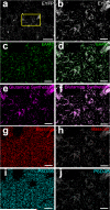 Extended Data Figure 9