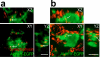 Extended Data Figure 4