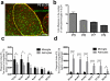 Extended Data Figure 6