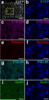 Extended Data Figure 5