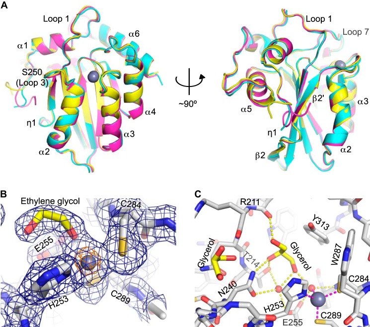 FIGURE 2.