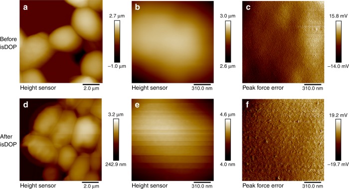 Fig. 4