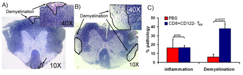 Figure.7