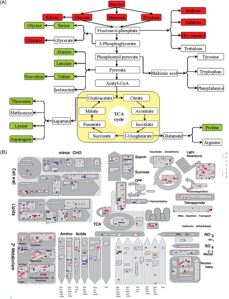 Fig. 6.