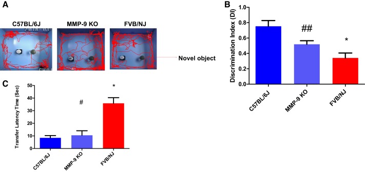 Fig. 6.