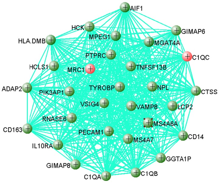 Figure 5.