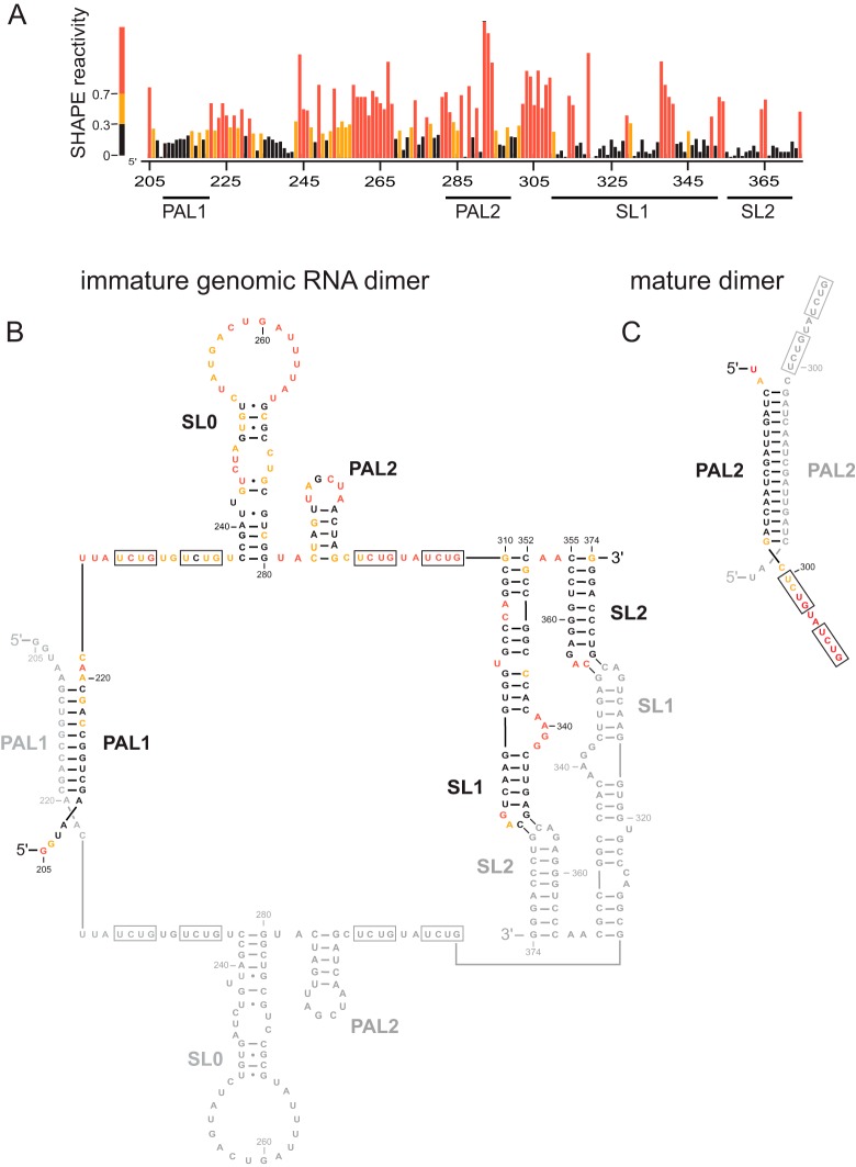 FIG 1