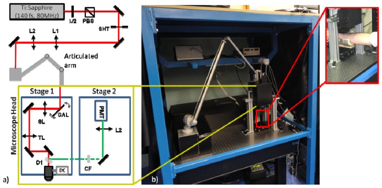 Fig. 1