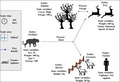 graphic file with name ECE3-10-12482-g007.jpg