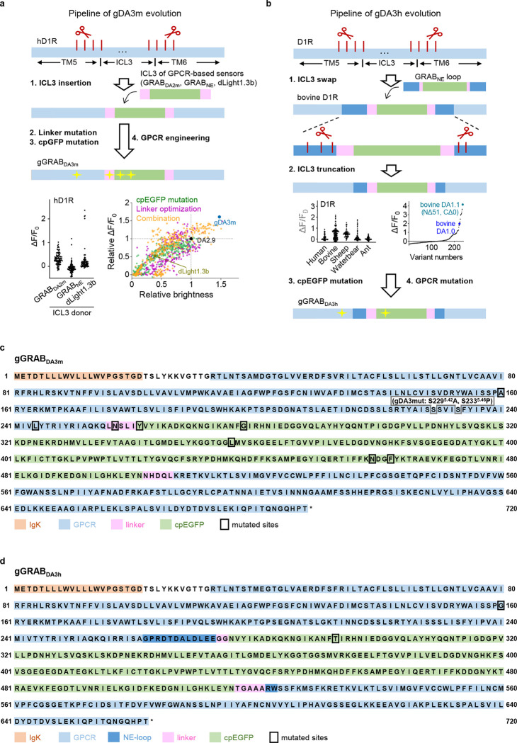 Extended Data Fig. 1 |