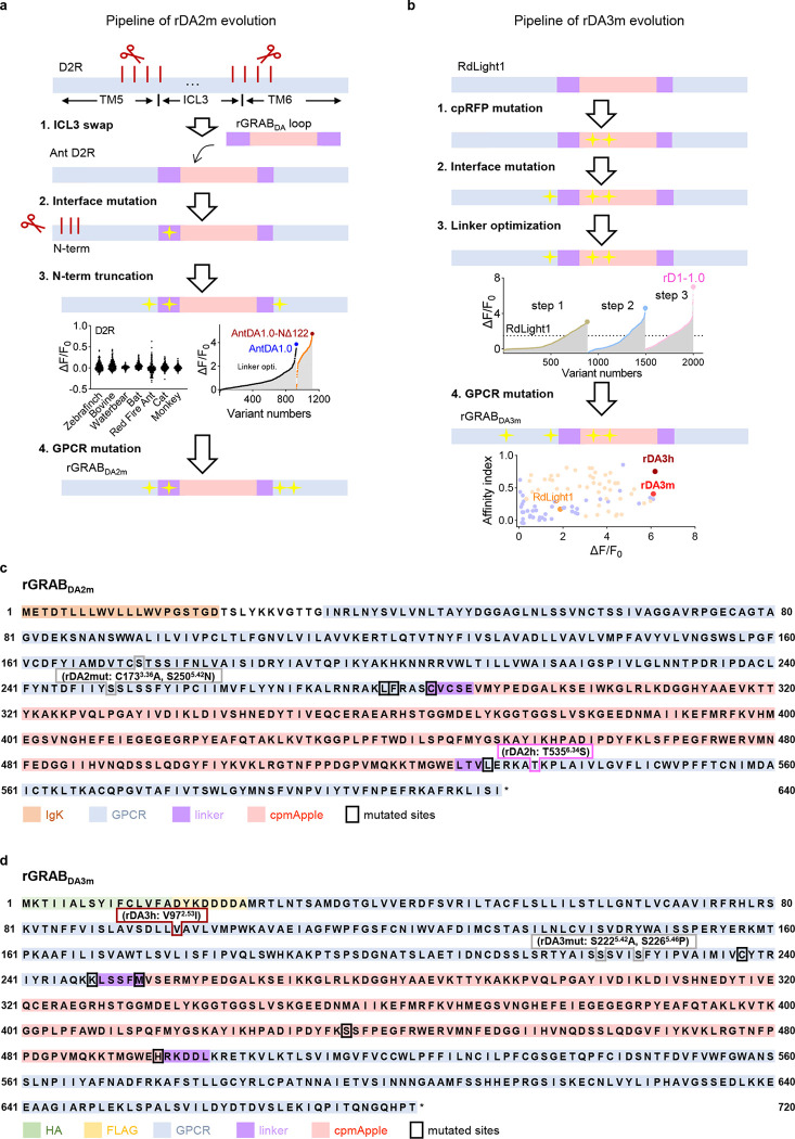 Extended Data Fig. 2 |