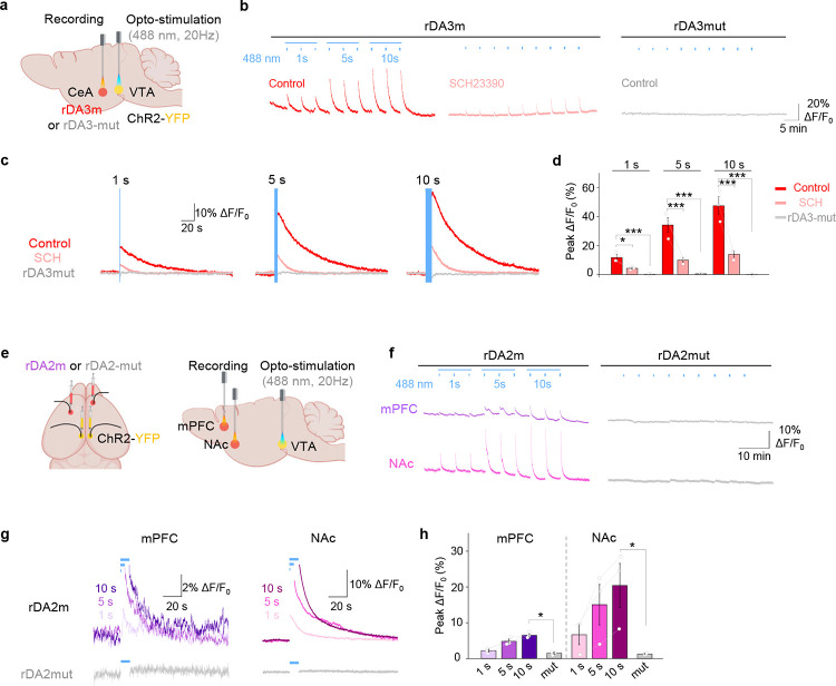 Extended Data Fig. 8 |