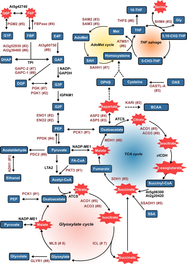 Fig. 6.