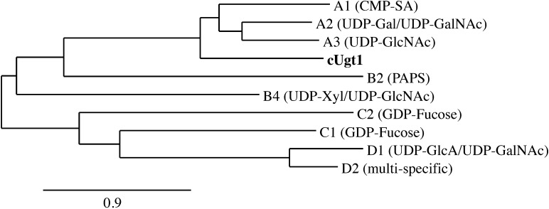 Fig. 1.