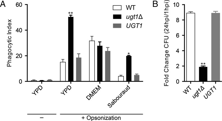 Fig. 8.