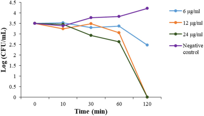 Figure 2